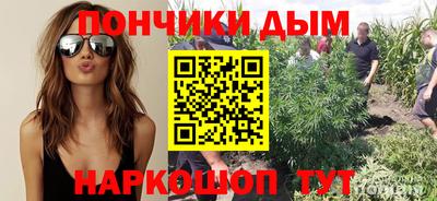 молекула духа Заводоуковск