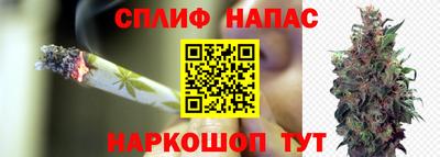 PSILOCYBIN Заволжье