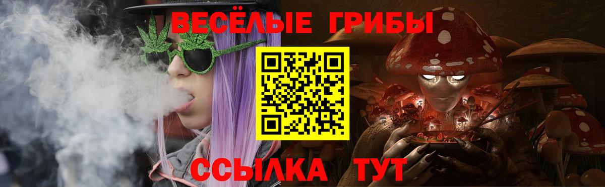 Галлюциногенные грибы Psilocybine cubensis Минеральные Воды